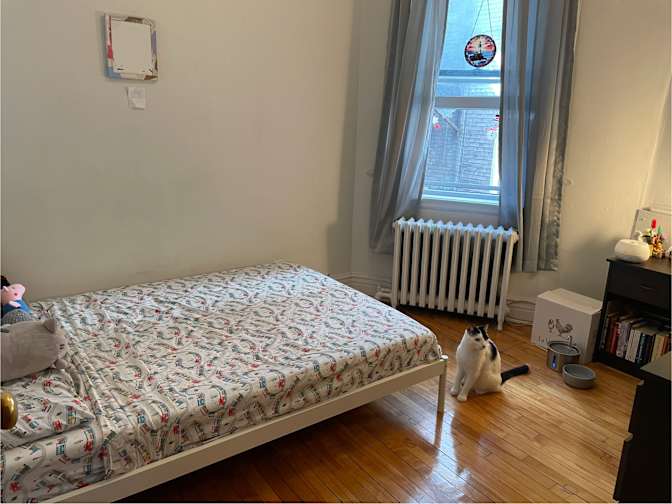 Eliana Ilieva's room