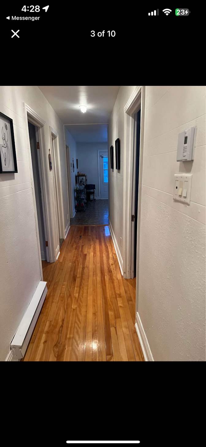 Yasmine El-Diwany's room