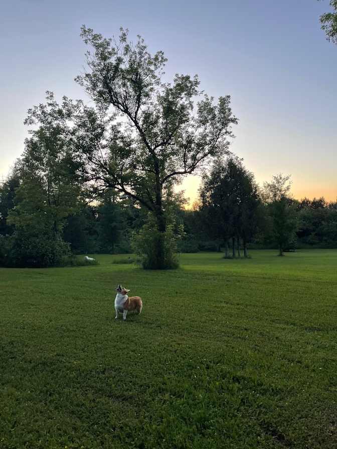 Mary Kay Sturm's room