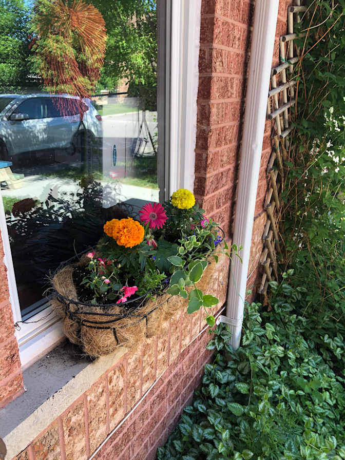 Photo of Heidi's room