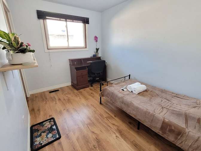 Niloofar Najafkiya's room