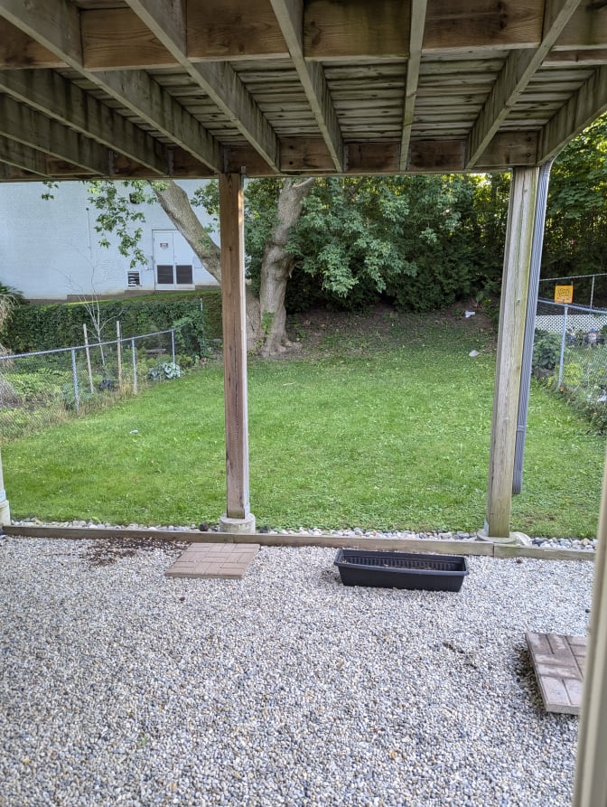 iain davidson's room