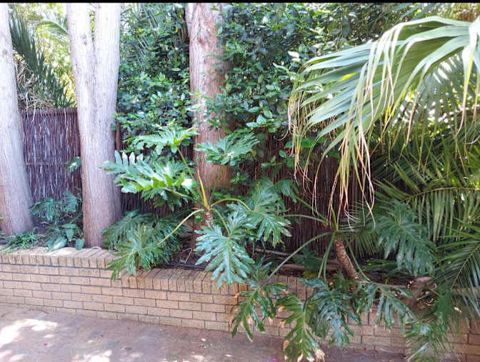 Photo of Louise Van Wyk's room