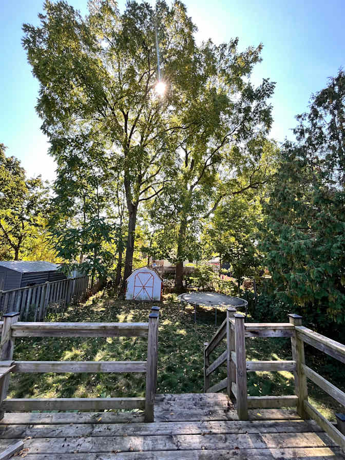 Photo of Ella's room