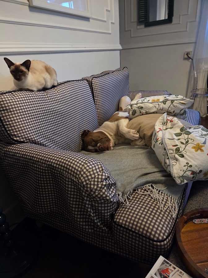 Photo of Kj's room