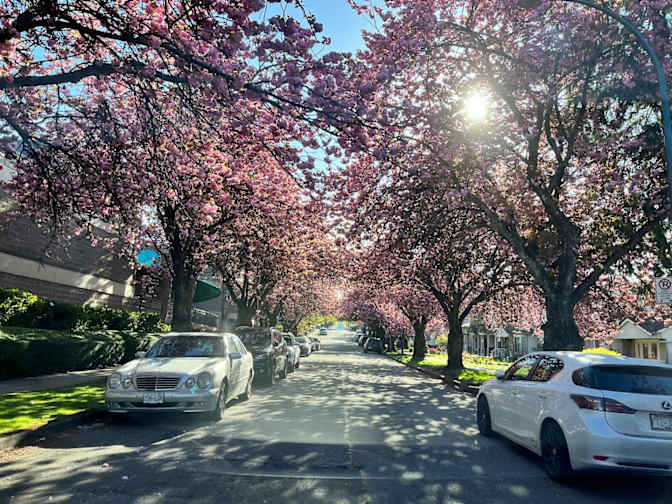 Photo of Kevin's room