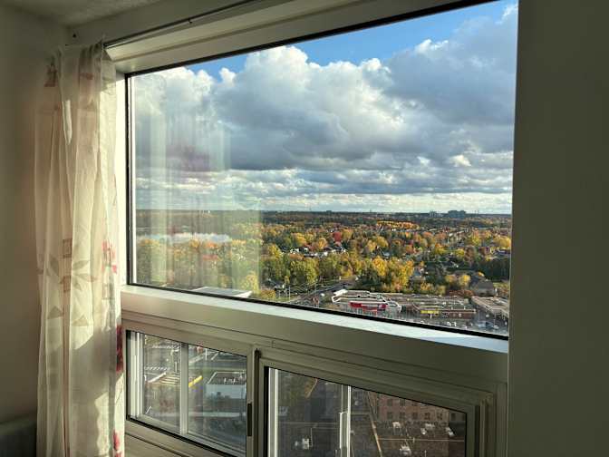 Saeid Foroughi's room