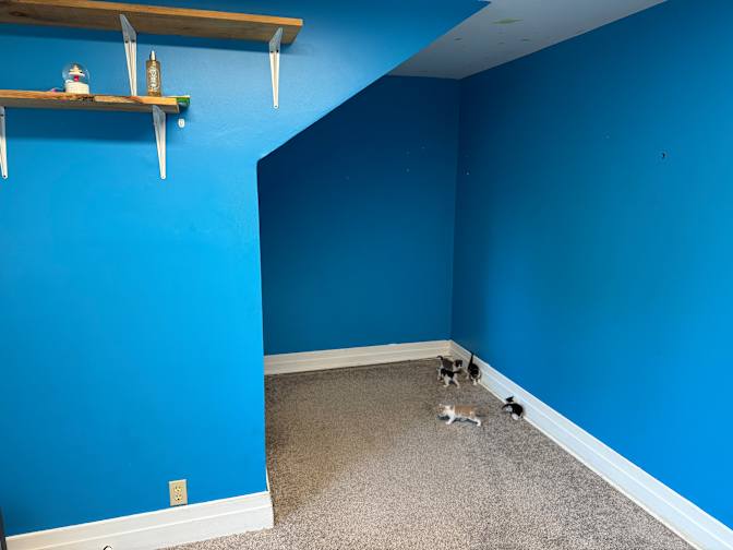 Photo of Nicholas blain's room