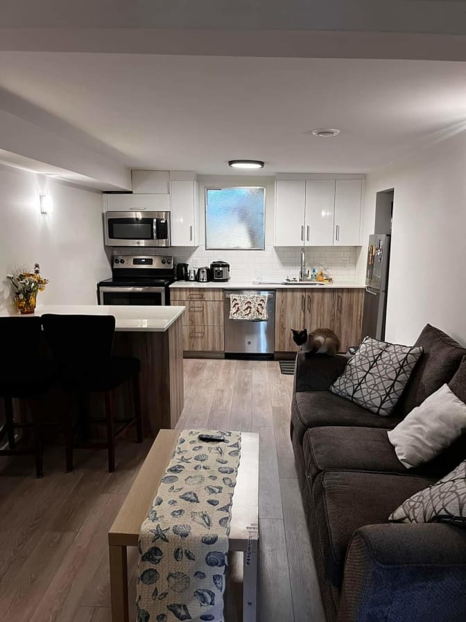 Chadya Bhatia's room