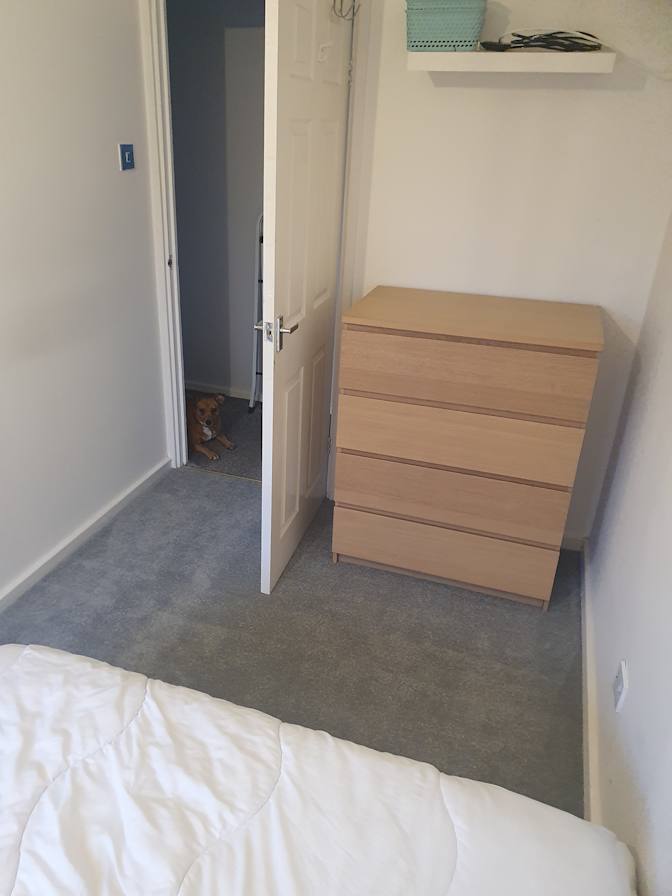 Photo of Julie's room