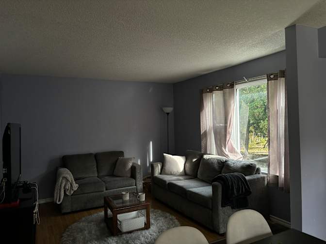 Photo of Quinn's room