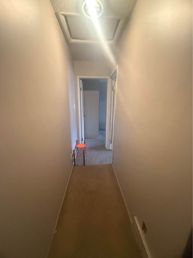 Md Tafsirul Islam's room