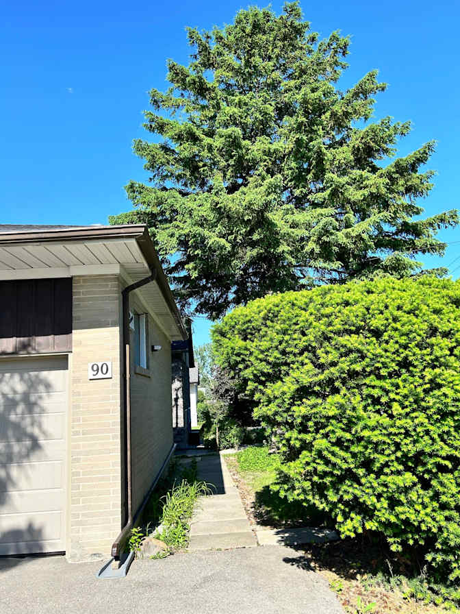 Jennifer Trinh's room