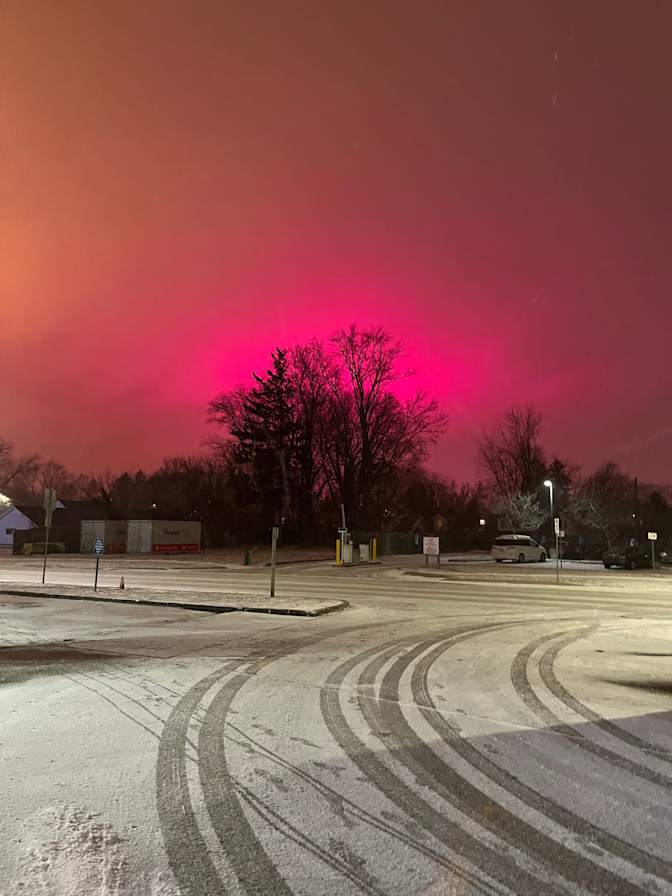 Lynne meloche's room