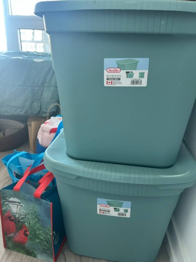 Escemei Wyatt's room