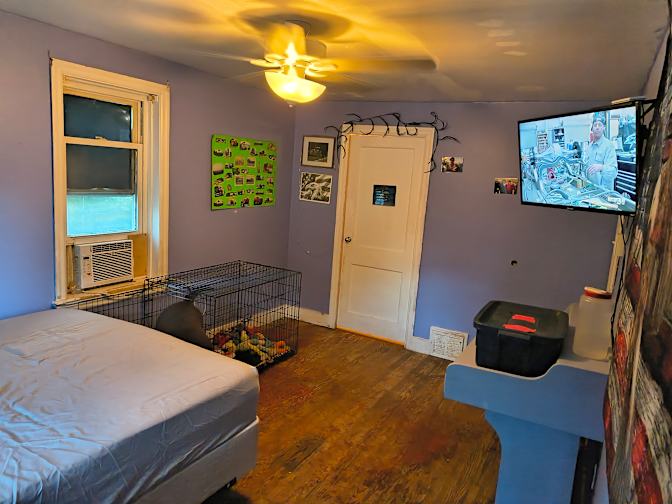 Photo of Tanya Ella Brosius's room
