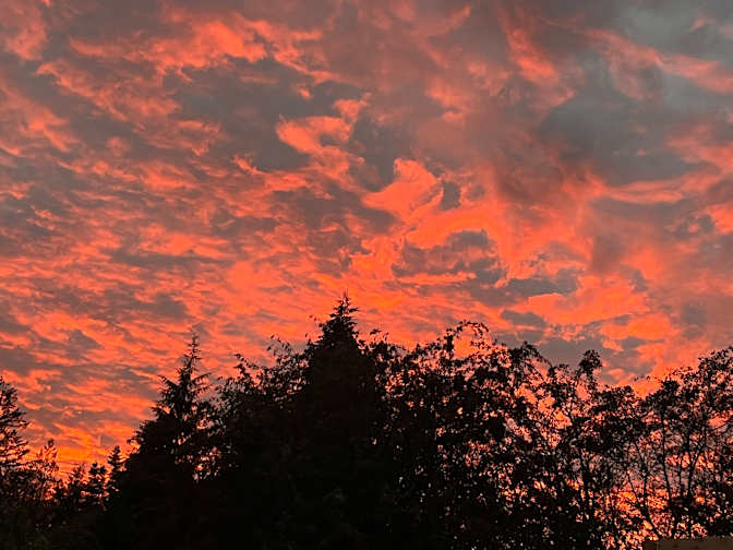 Rebecca Campbell's room