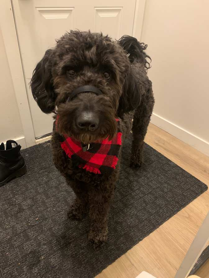 Photo of Jessica's room