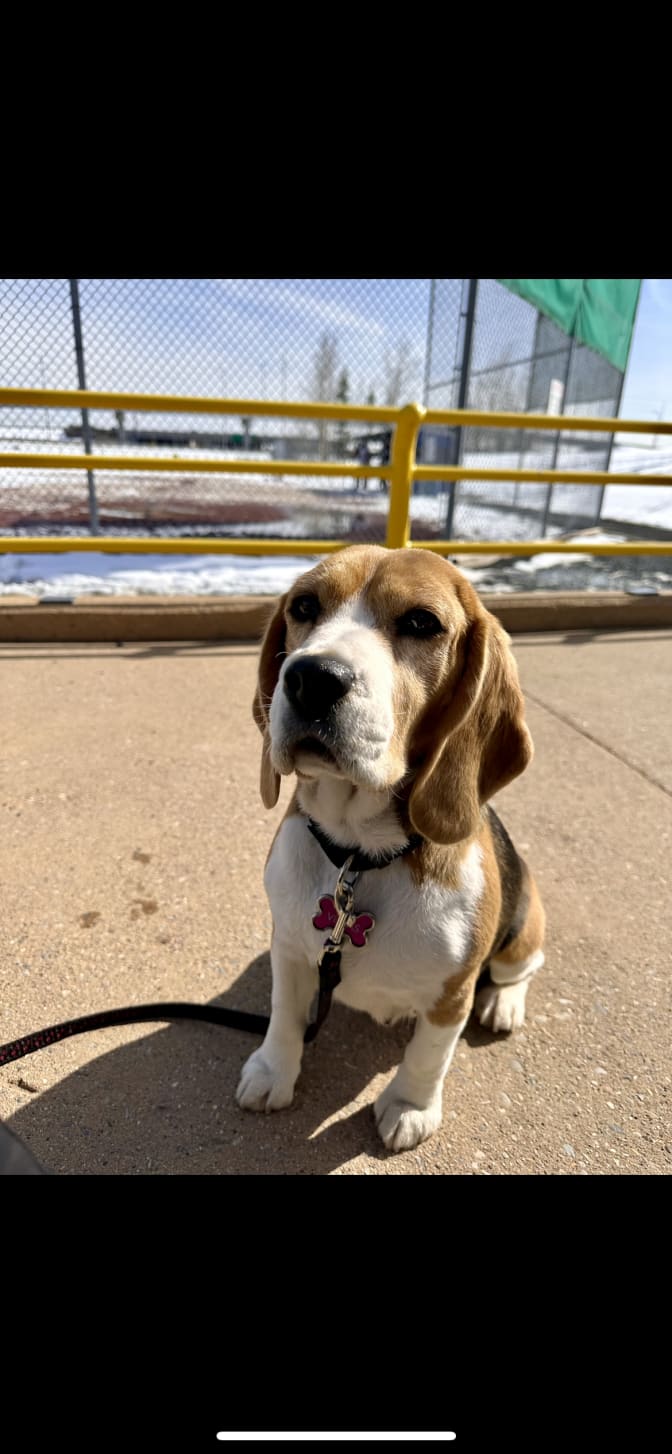 Jayda Telford's room