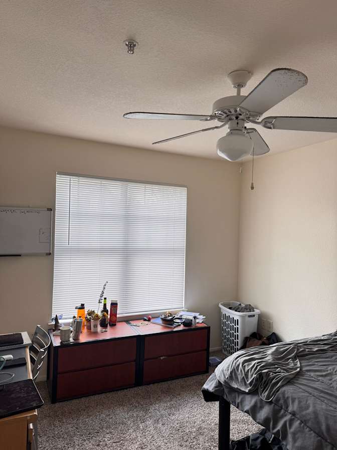 private-room-to-rent-in-share-house-luther-street-w-roomies