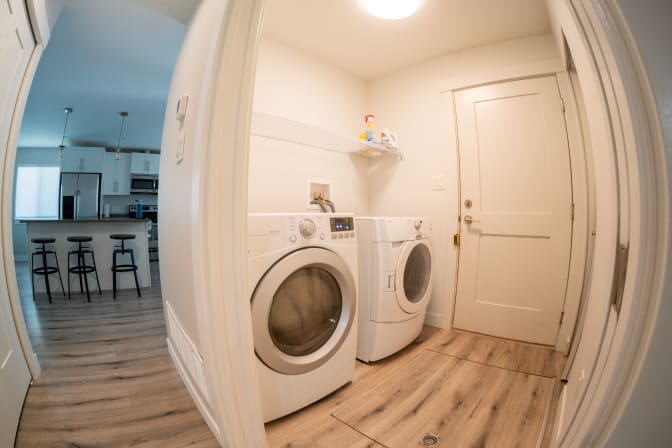 Matthew Collins's room