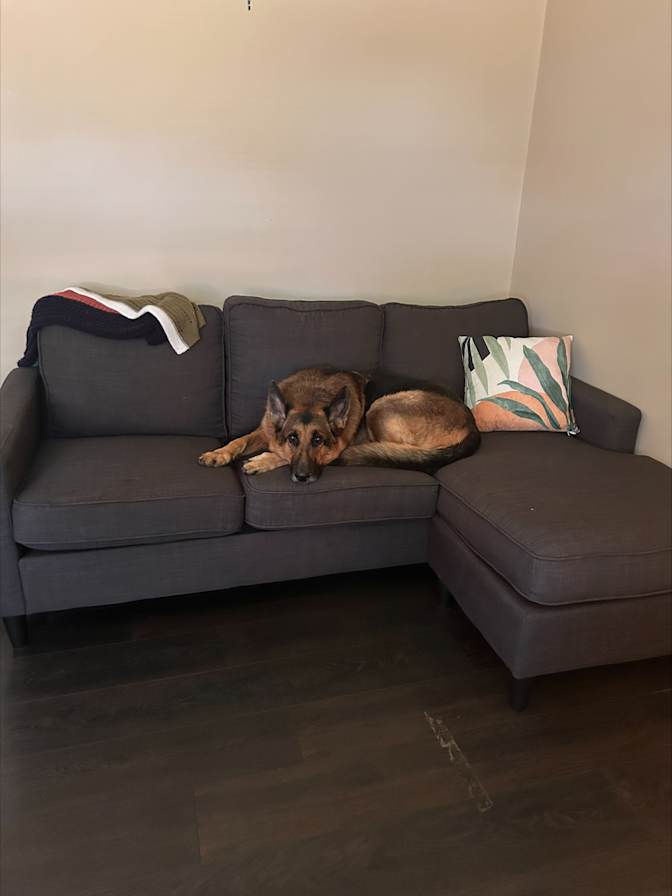 Becky Jenkins's room