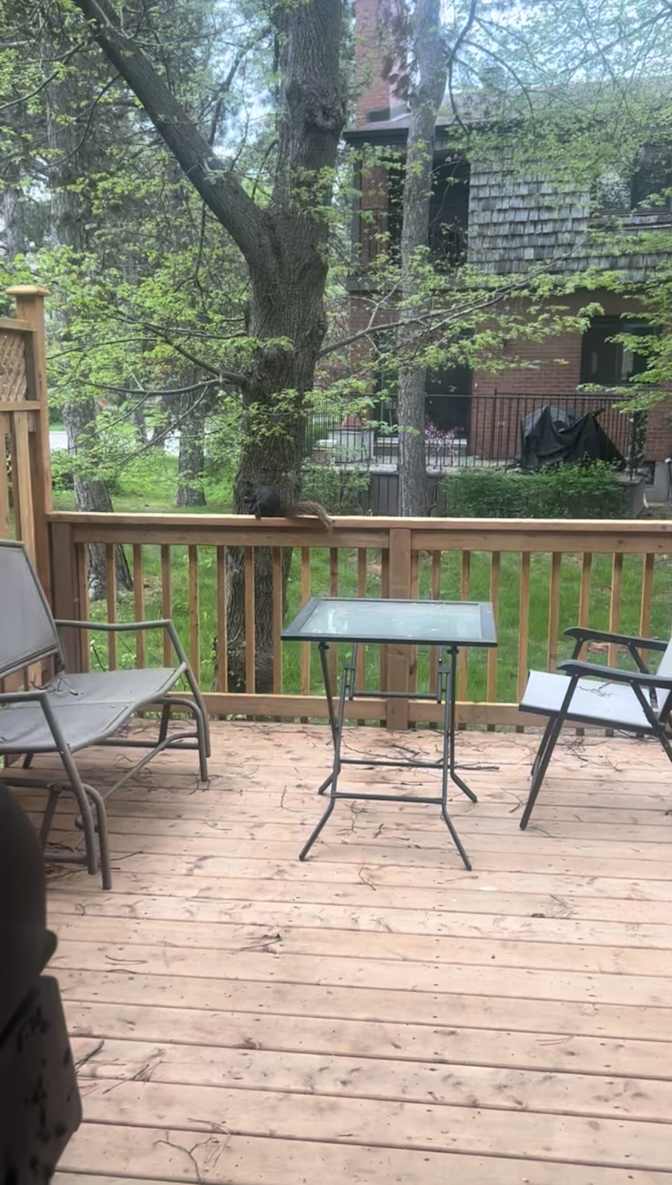 Photo of Jasmine Gagnon's room