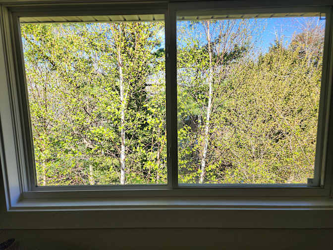 Photo of David's room