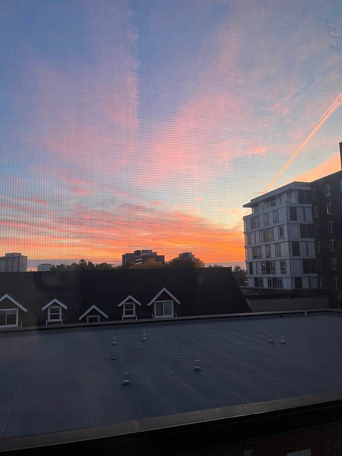 Photo of Anna Bouchard's room