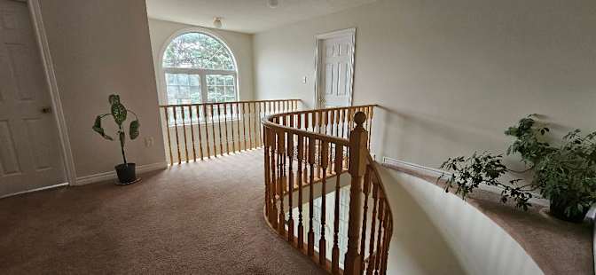 Photo of Danie's room