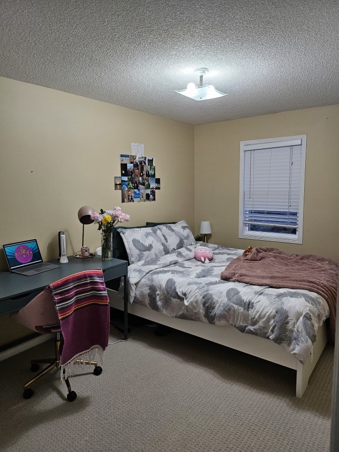 Photo of Neve's room