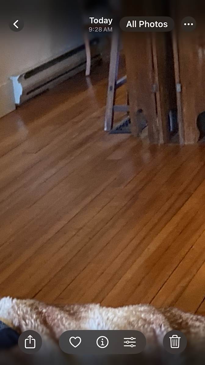 Bonnie Rogers's room