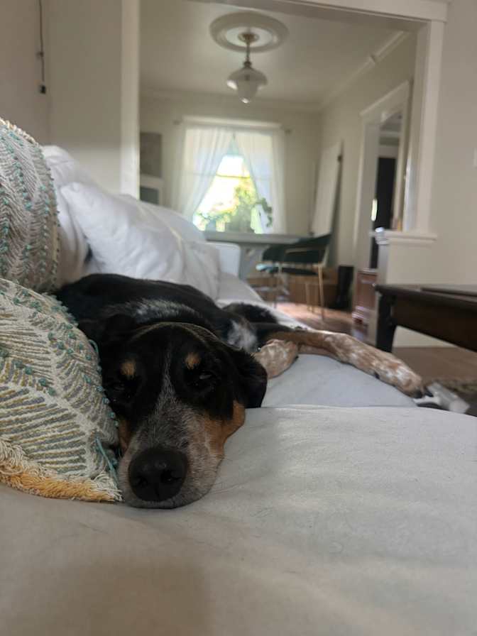 Photo of Lauren's room