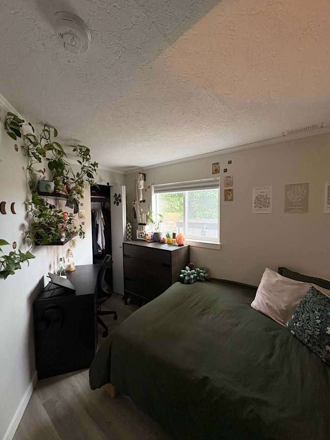 Photo of Fiona's room