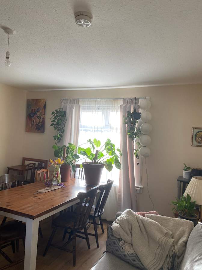 Photo of Polly's room