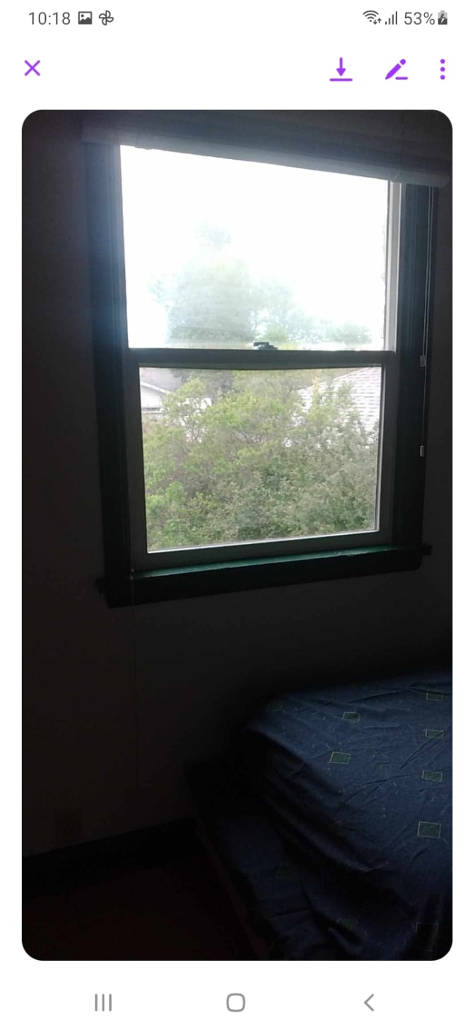 Photo of Emily's room