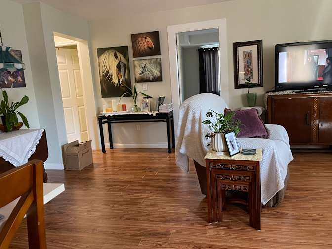 Judi Richards's room