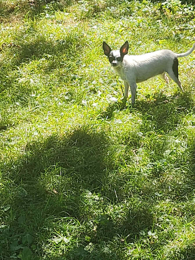 Rebecca Russo's room