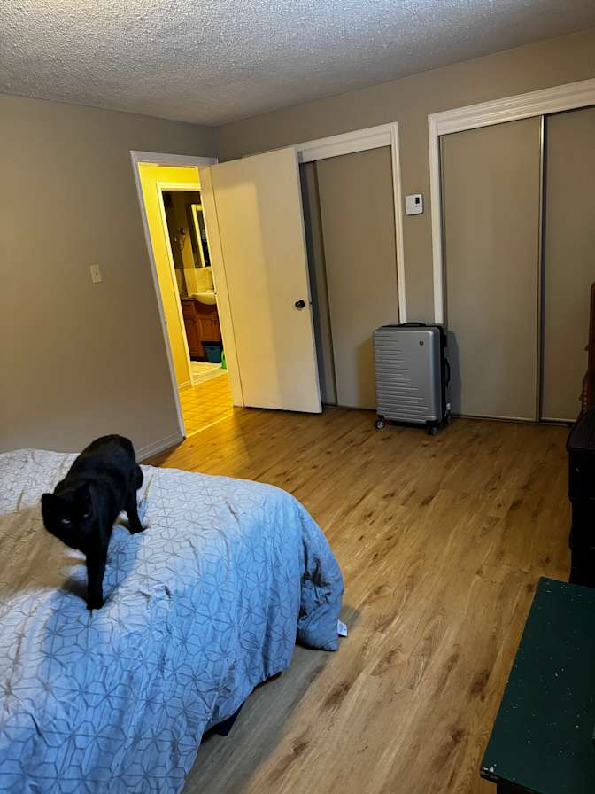 Photo of Anna's room