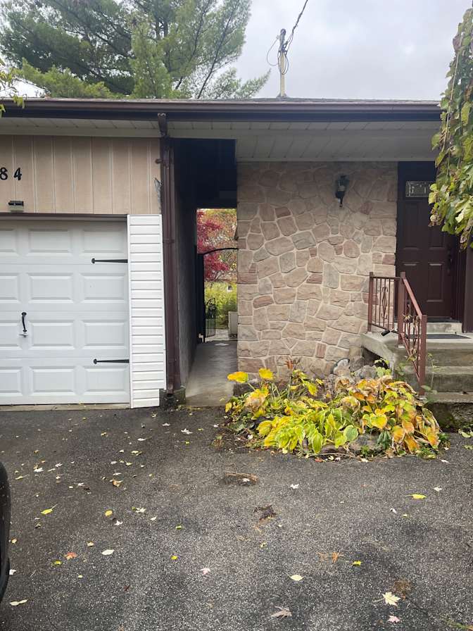 Shawn Mashouf's room