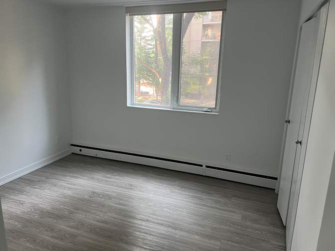 Photo of Negar's room