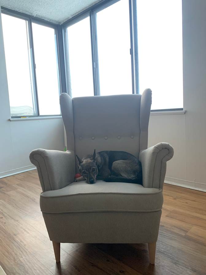 Photo of Garance's room