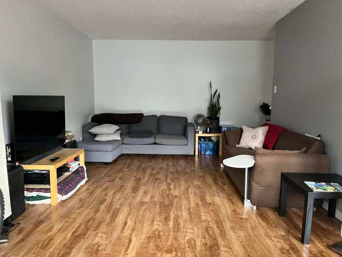 The Roommates's room