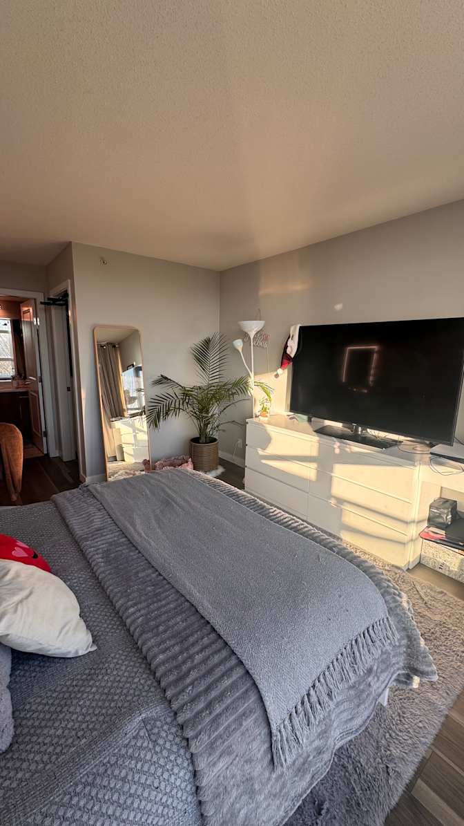 Nicolle Pereira's room