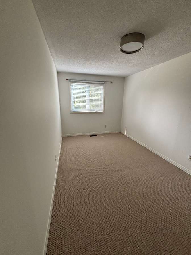 Photo of avaia's room