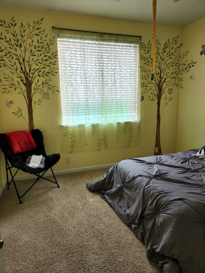 Photo of Dornica brown's room