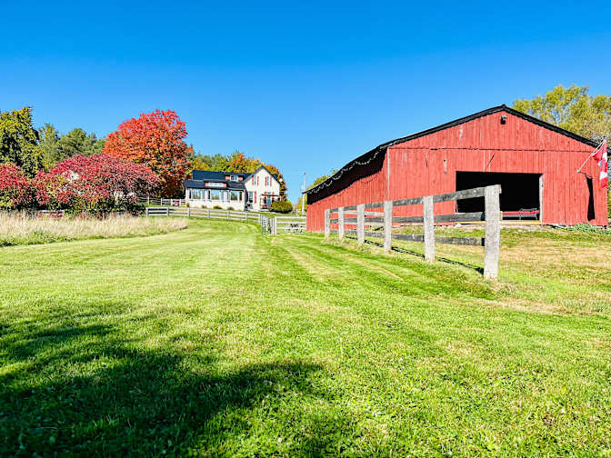 Debbie Asquith's room