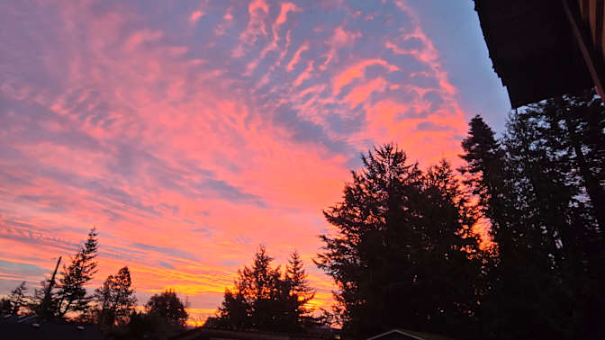 Rheanna Price's room