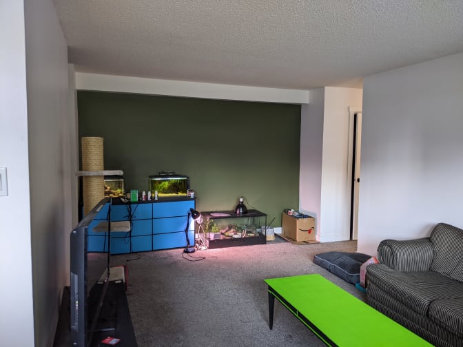 Photo of Finch's room