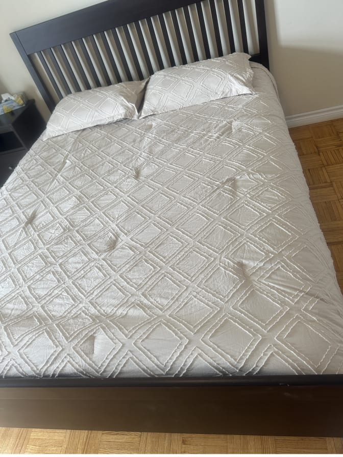 marjan shaker's room